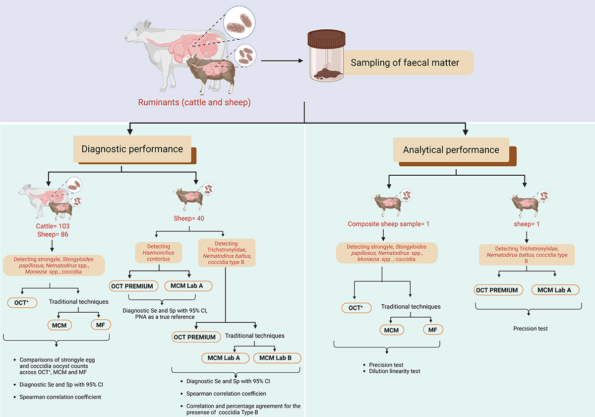 Figure 1 Refer to the following caption and surrounding text.