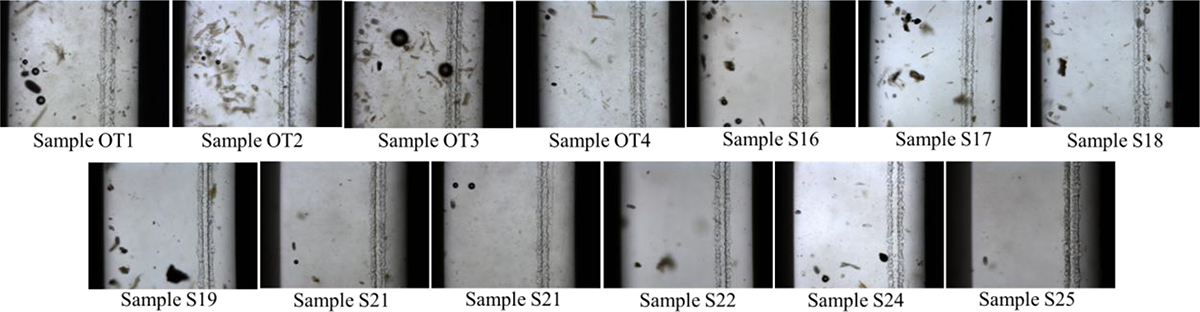 Figure 3: Refer to the following caption and surrounding text.