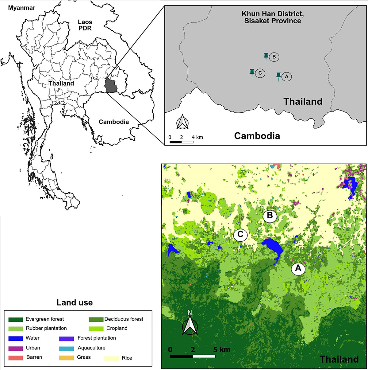 Figure 1 Refer to the following caption and surrounding text.