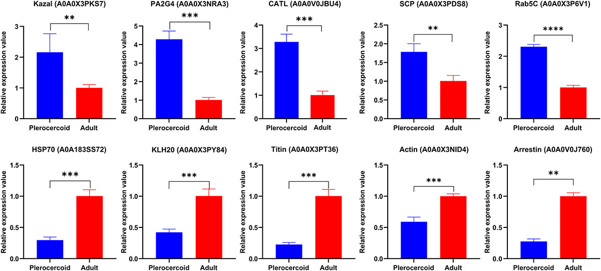 Figure 10 Refer to the following caption and surrounding text.