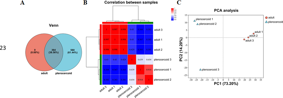 Figure S1. Refer to the following caption and surrounding text.