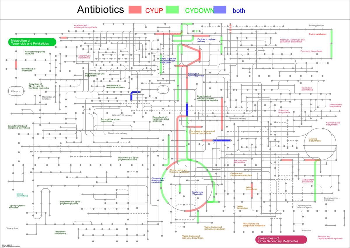 Figure S7. Refer to the following caption and surrounding text.