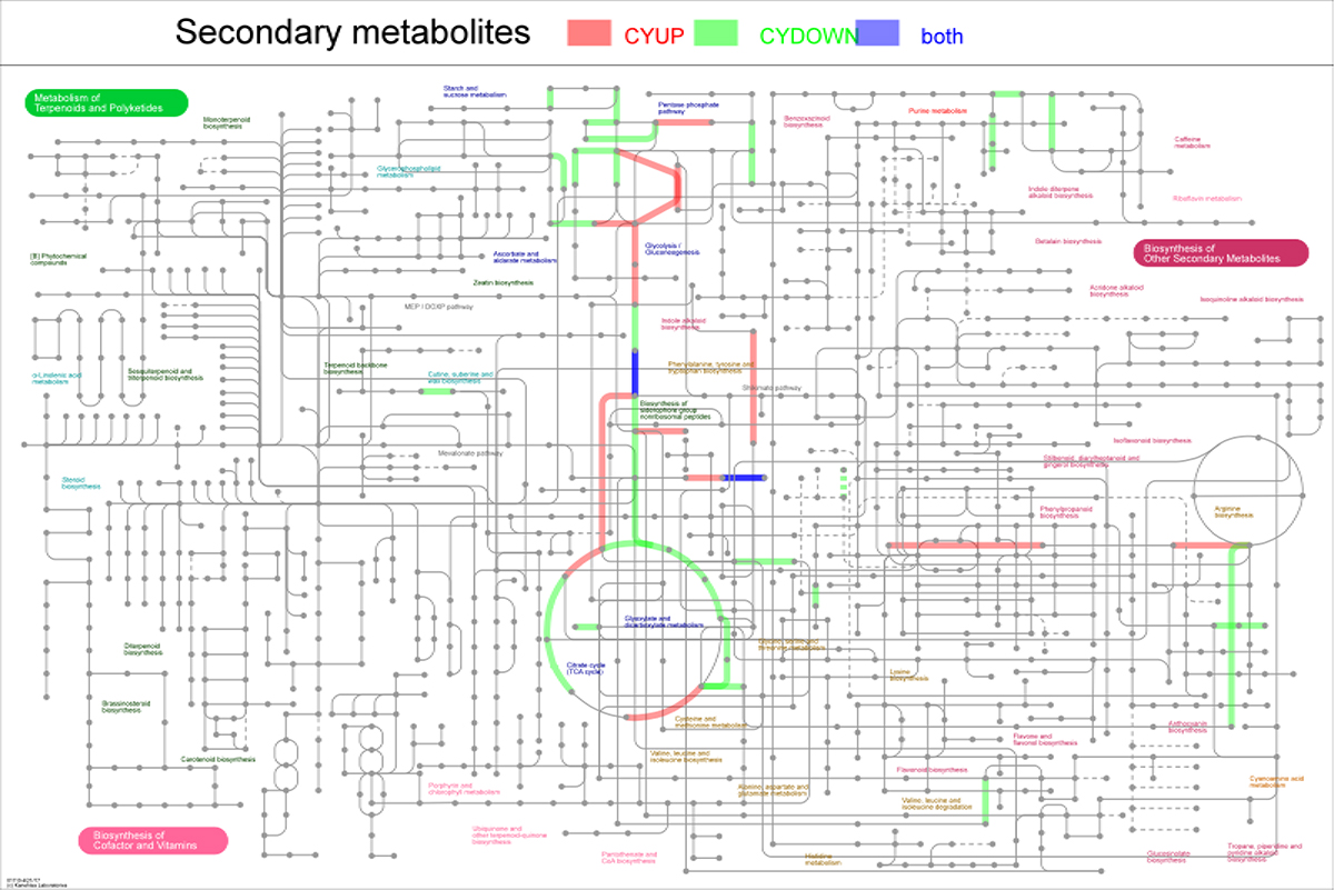 Figure S8. Refer to the following caption and surrounding text.