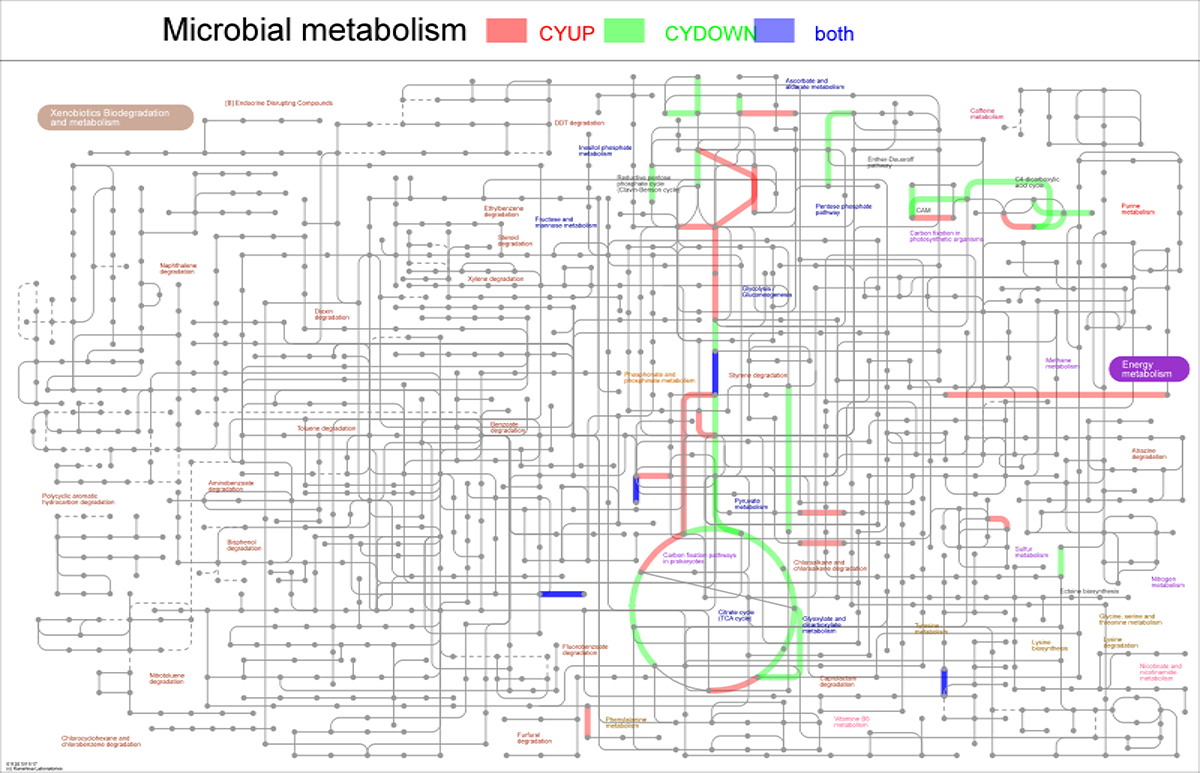 Figure S9. Refer to the following caption and surrounding text.
