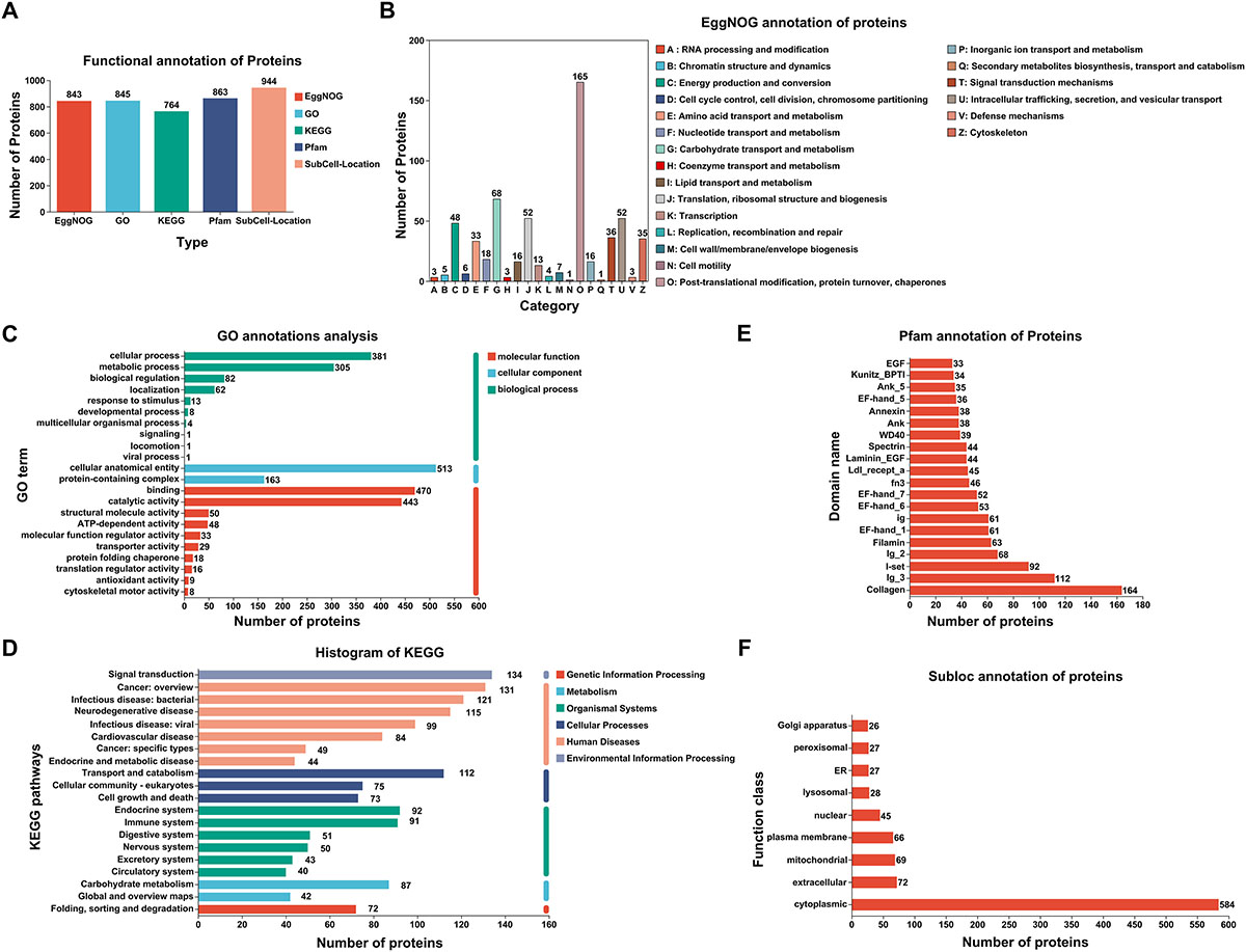 Figure 3 Refer to the following caption and surrounding text.