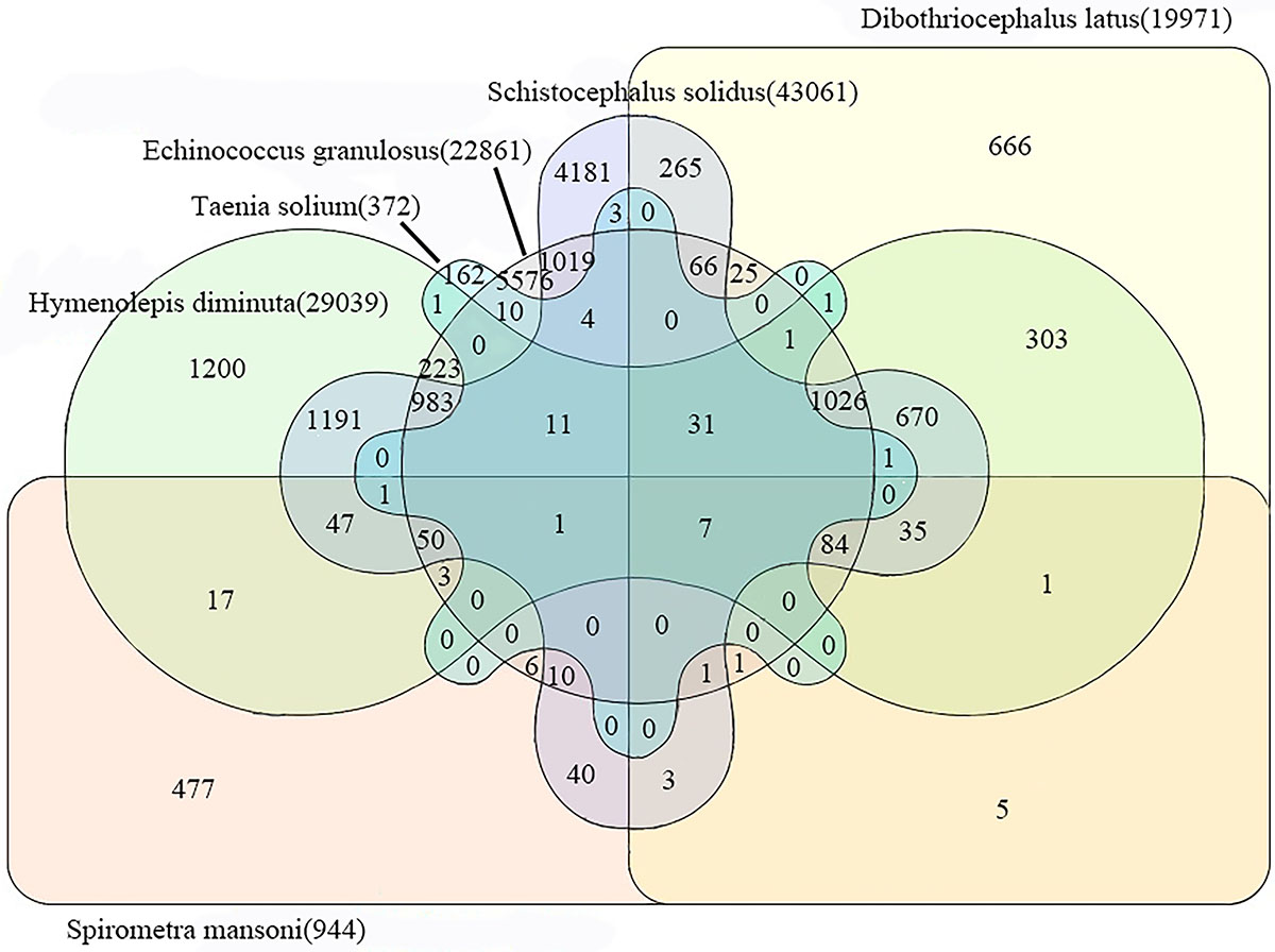 Figure 4 Refer to the following caption and surrounding text.