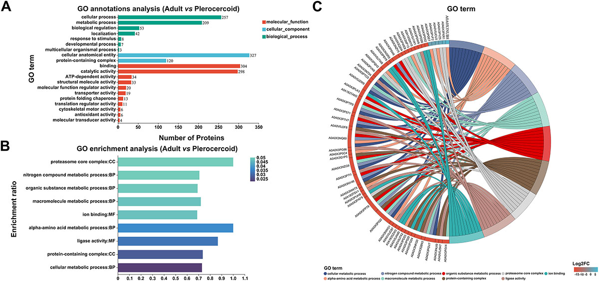 Figure 6 Refer to the following caption and surrounding text.