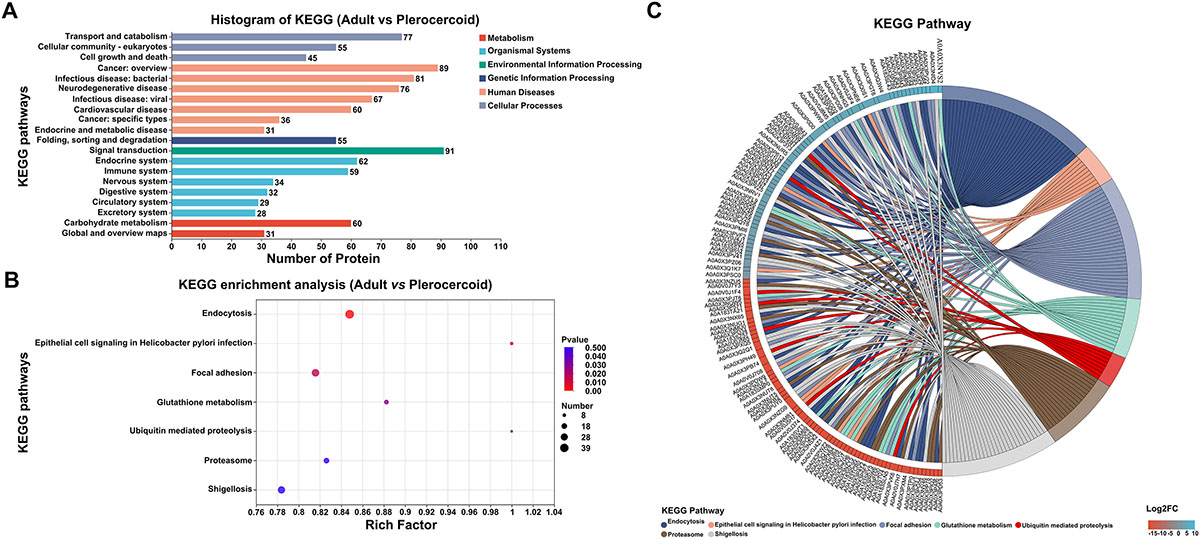 Figure 7 Refer to the following caption and surrounding text.