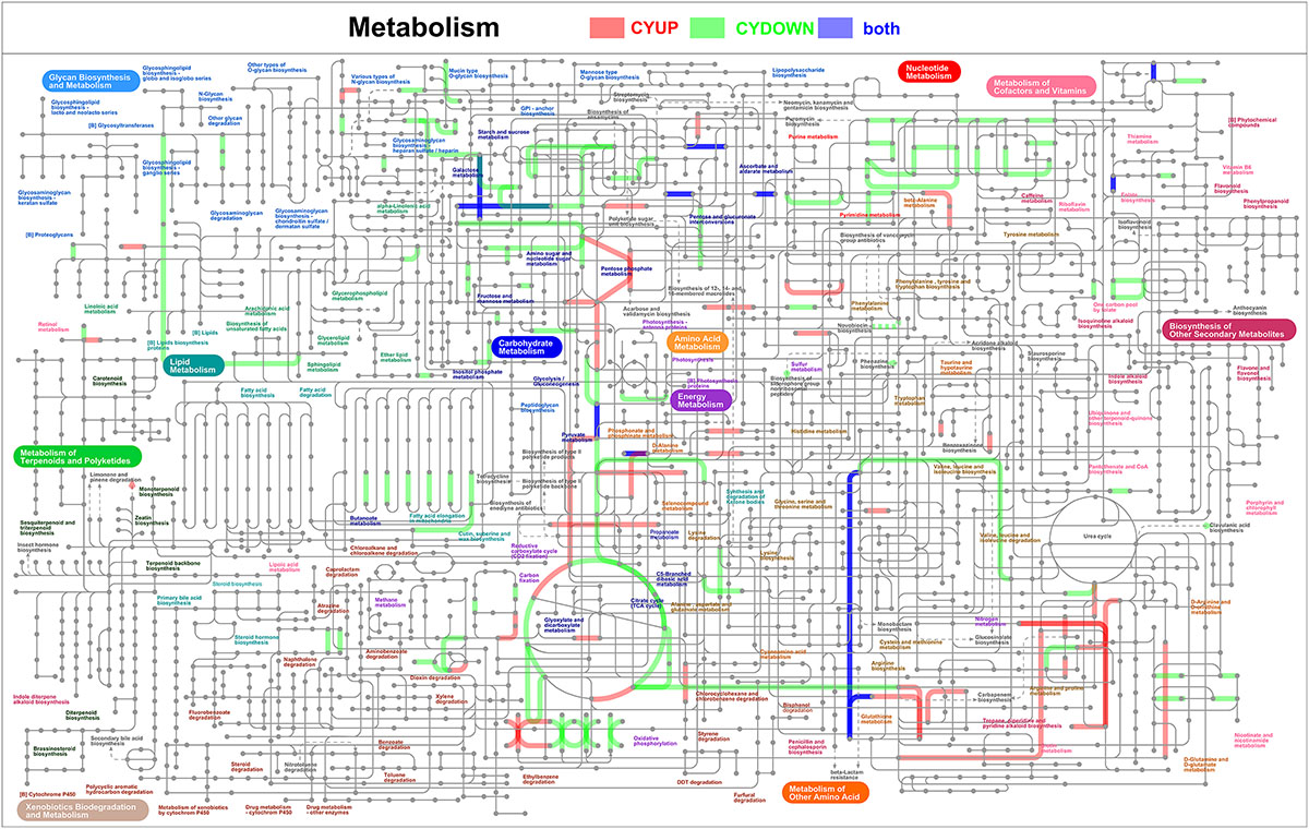Figure 8 Refer to the following caption and surrounding text.