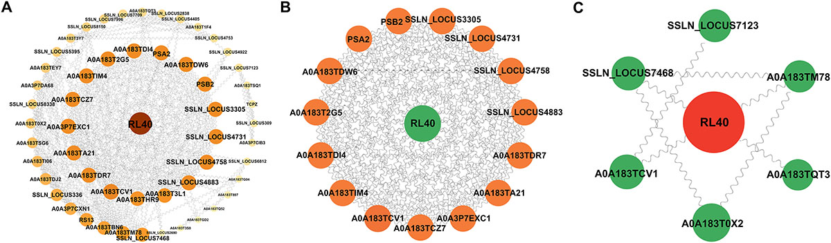 Figure 9 Refer to the following caption and surrounding text.