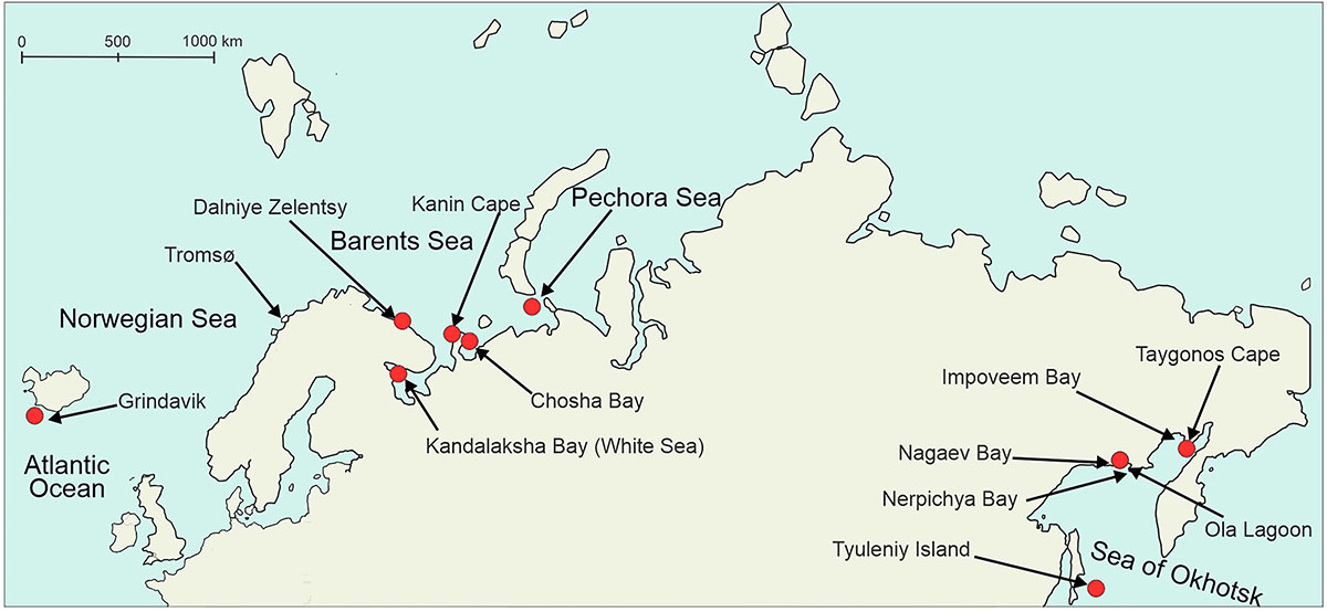 Figure 3 Refer to the following caption and surrounding text.