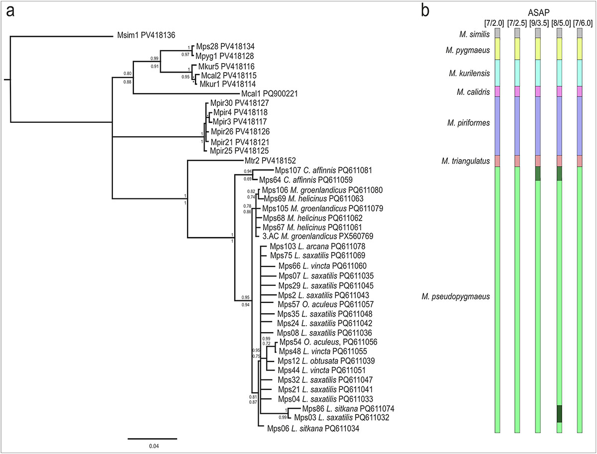 Figure 4 Refer to the following caption and surrounding text.