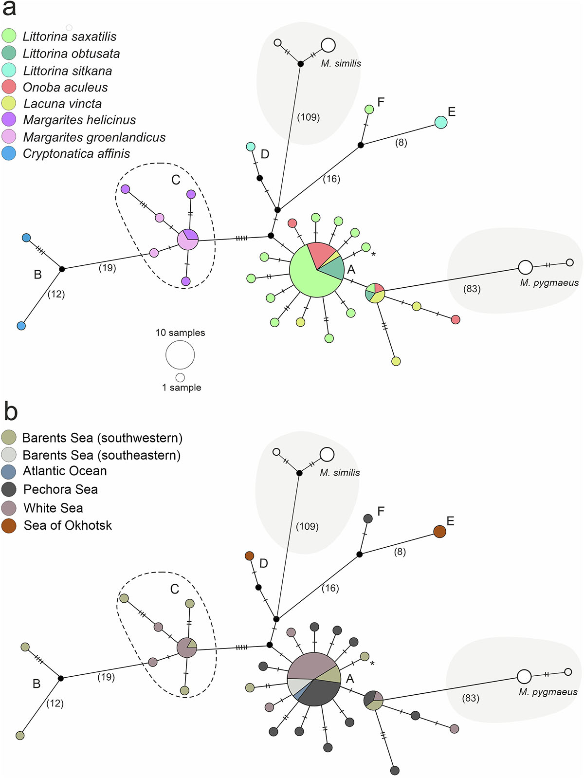 Figure 6 Refer to the following caption and surrounding text.