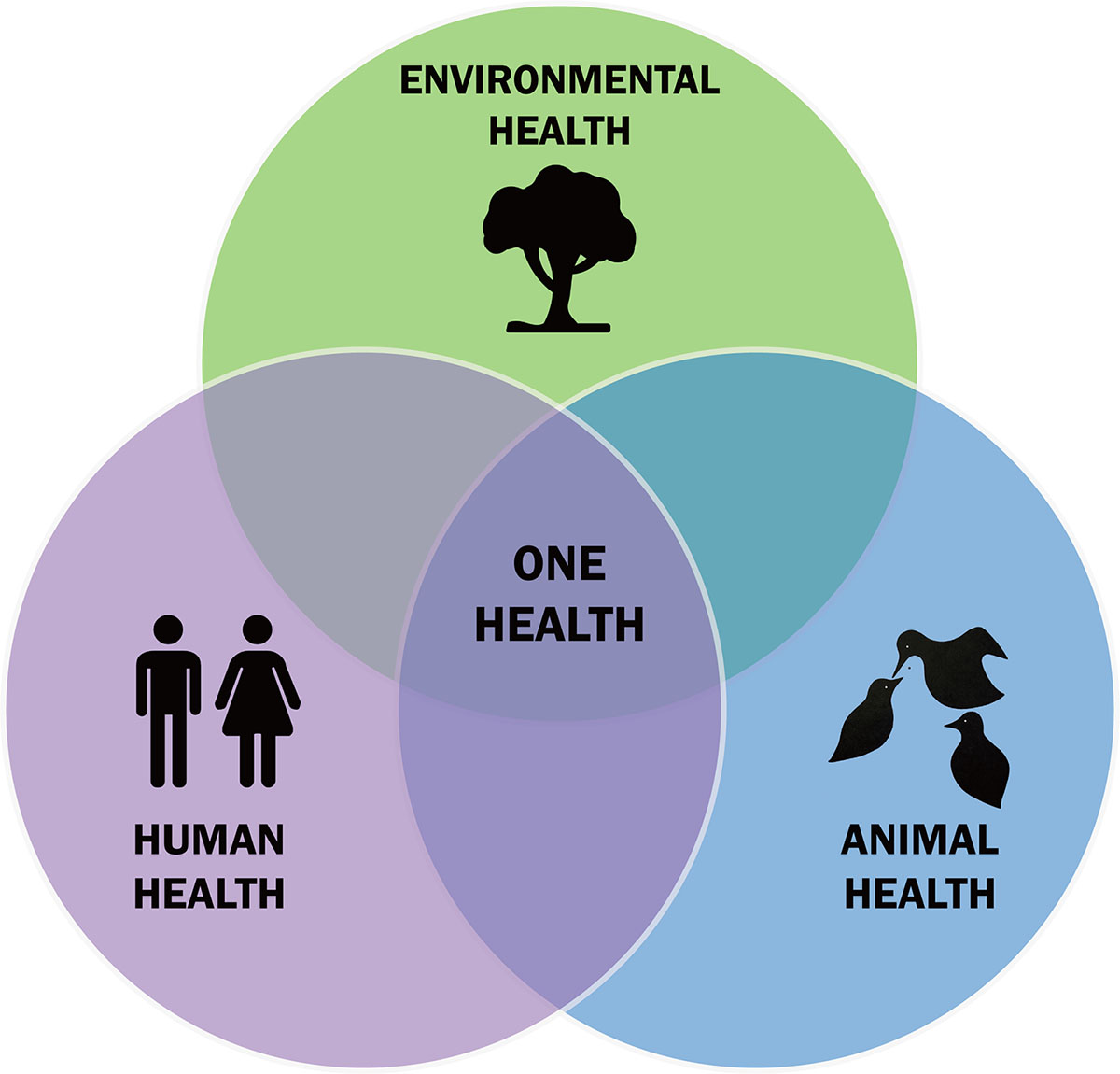 Figure 1 Refer to the following caption and surrounding text.
