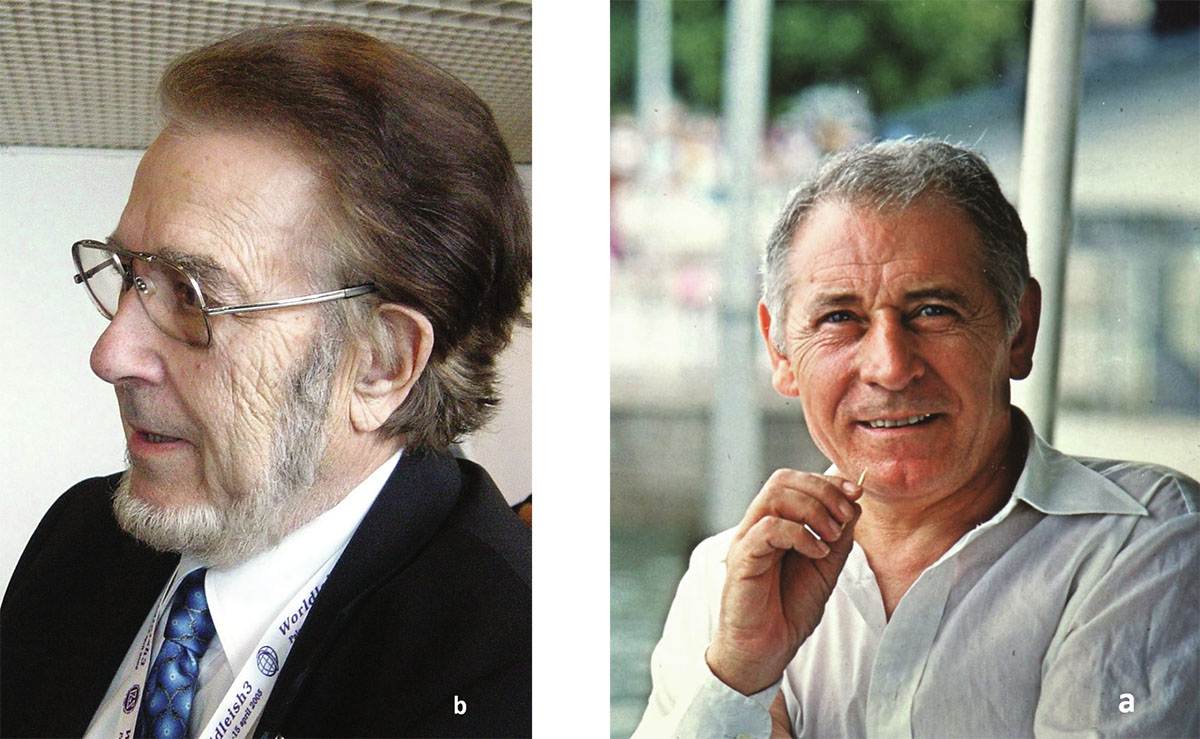 Figure 2 Refer to the following caption and surrounding text.