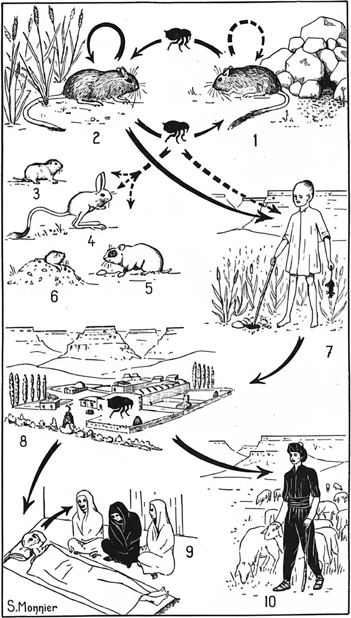 Figure 3 Refer to the following caption and surrounding text.