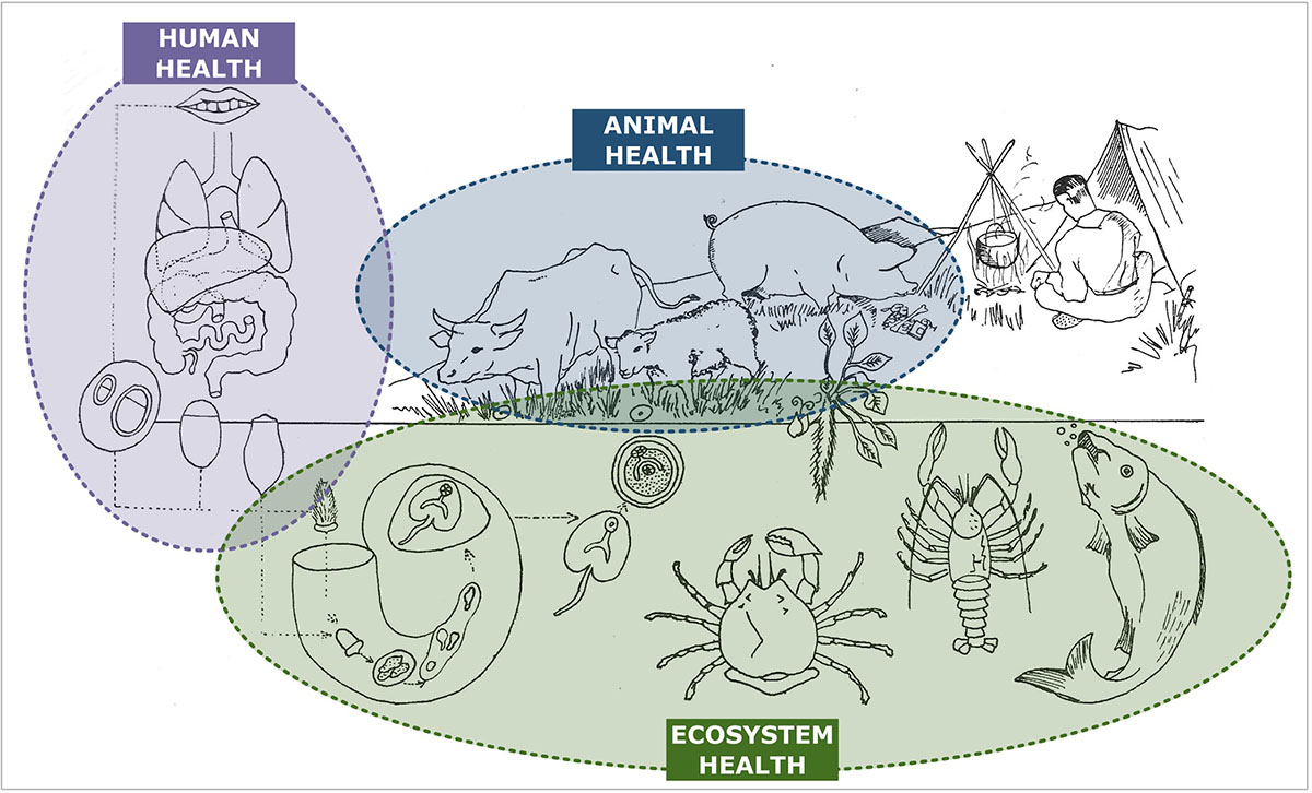 Figure 4 Refer to the following caption and surrounding text.