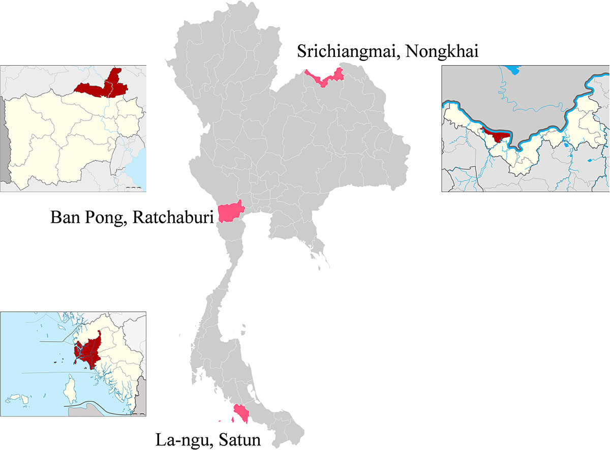 Figure 1 Refer to the following caption and surrounding text.