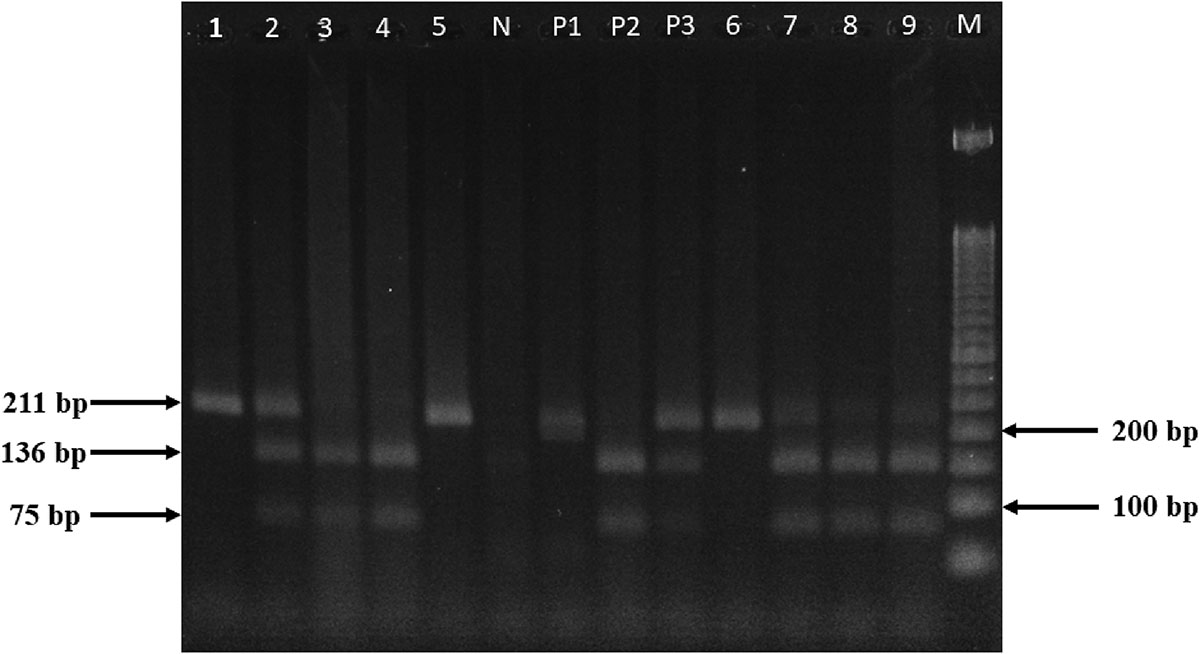 Figure 2 Refer to the following caption and surrounding text.