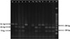 Thumbnail: Figure 2 Refer to the following caption and surrounding text.