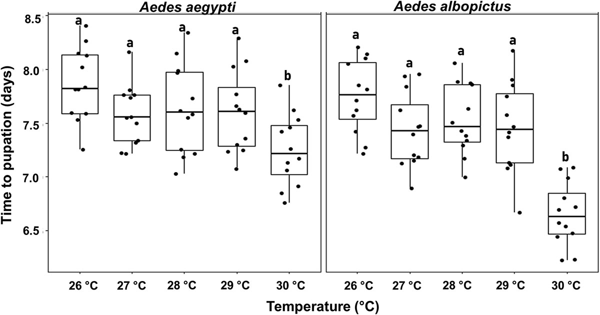 eFigure 1 Refer to the following caption and surrounding text.