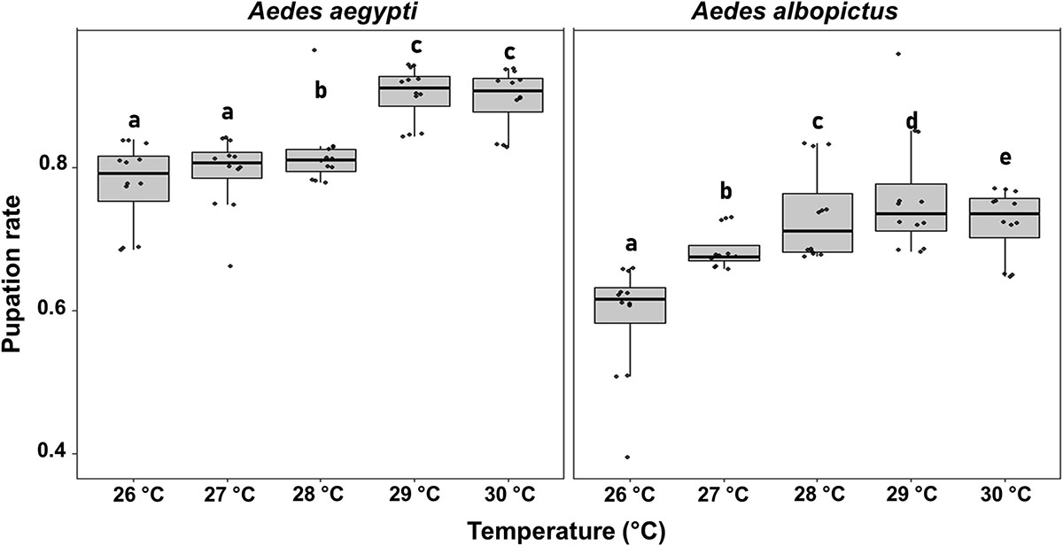 Figure 2 Refer to the following caption and surrounding text.