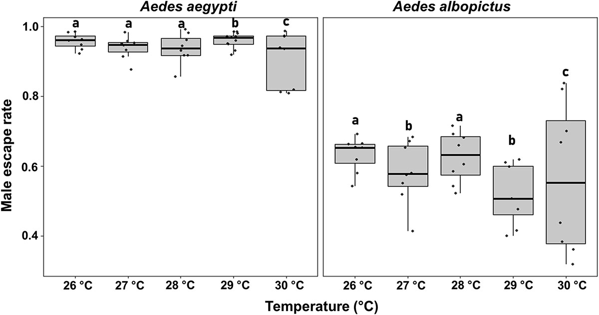 Figure 3 Refer to the following caption and surrounding text.