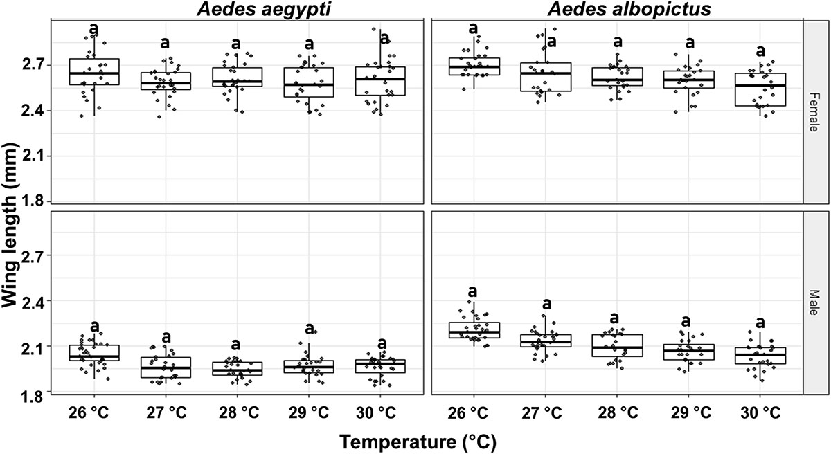 Figure 4 Refer to the following caption and surrounding text.