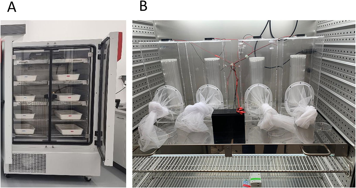 Figure S1. Refer to the following caption and surrounding text.