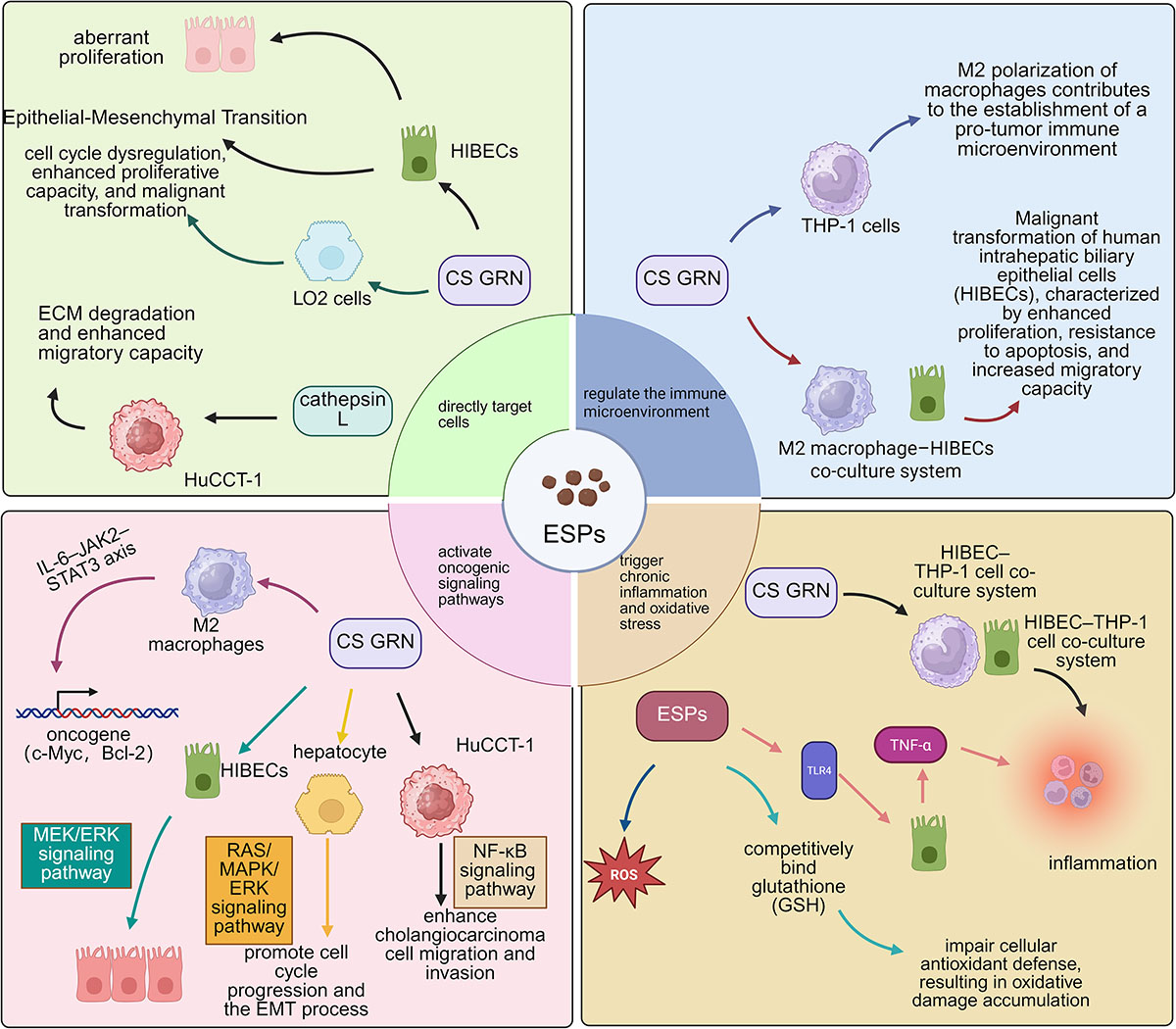 Figure 2 Refer to the following caption and surrounding text.