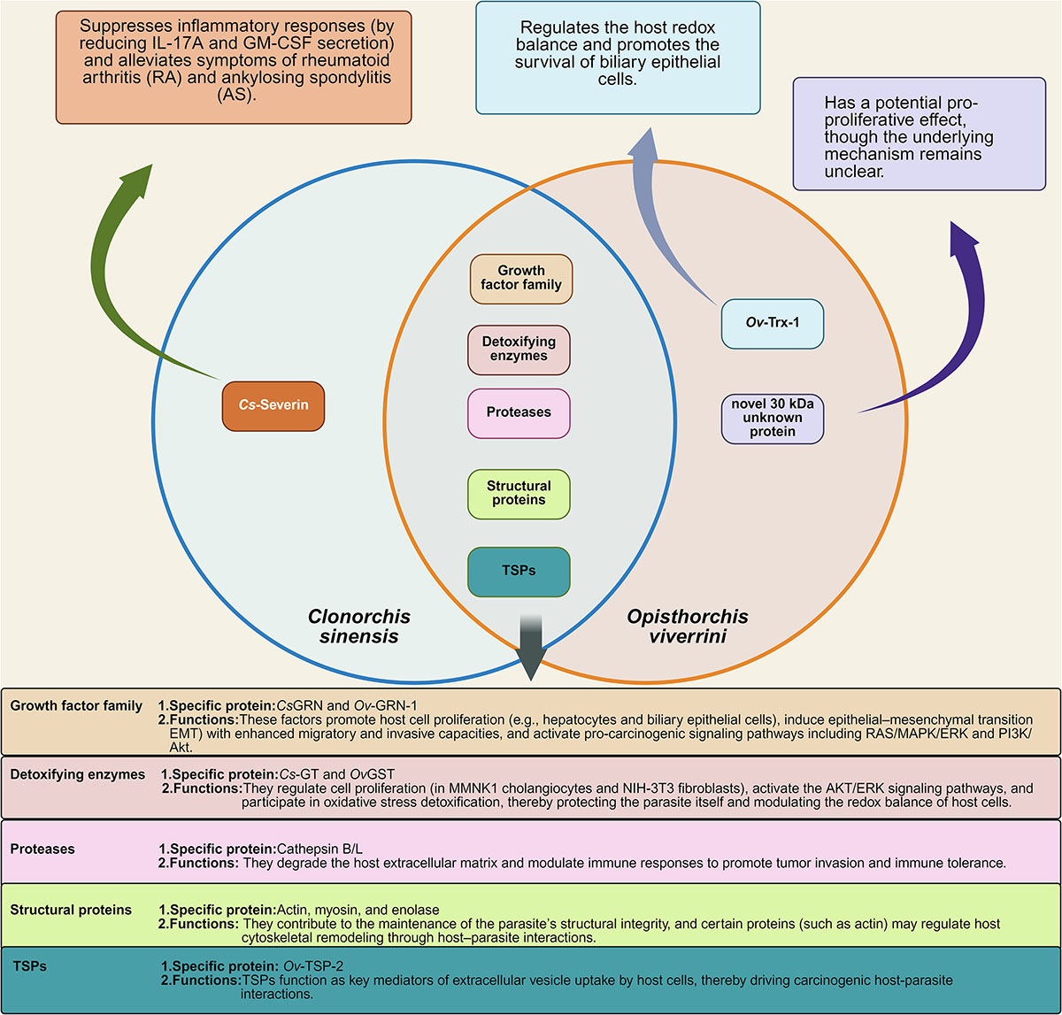Figure 4 Refer to the following caption and surrounding text.