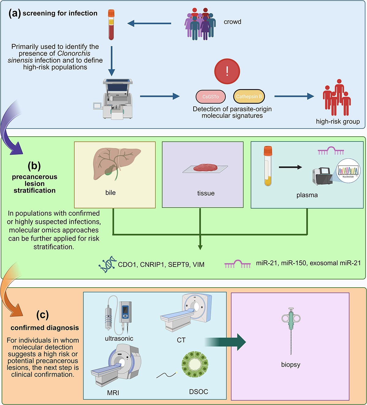 Figure 5 Refer to the following caption and surrounding text.