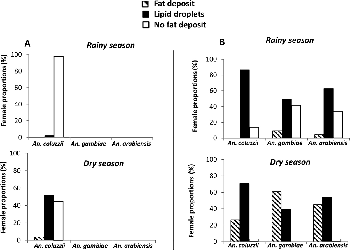 Figure 4 Refer to the following caption and surrounding text.