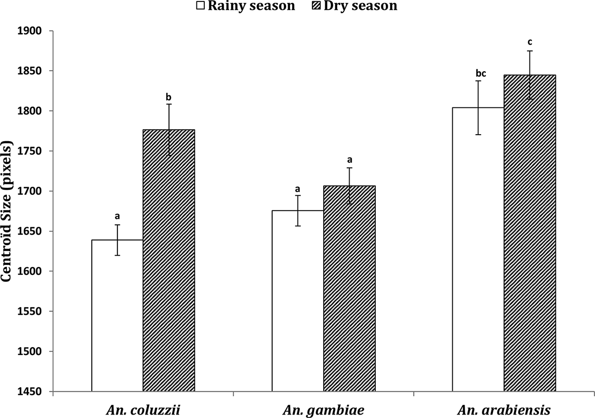 Figure 5 Refer to the following caption and surrounding text.