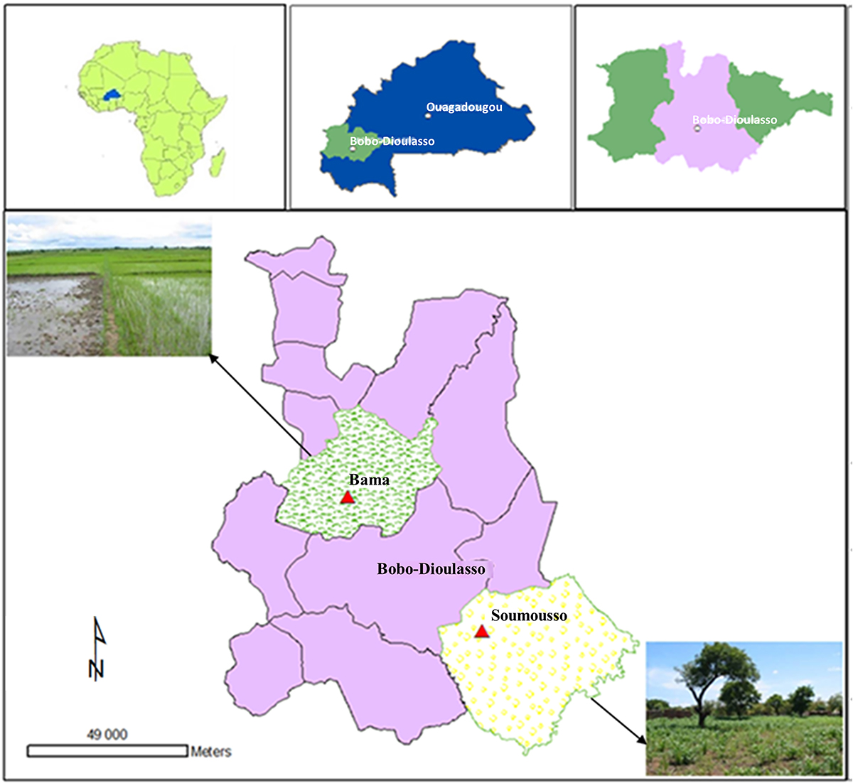 Figure S1: Refer to the following caption and surrounding text.