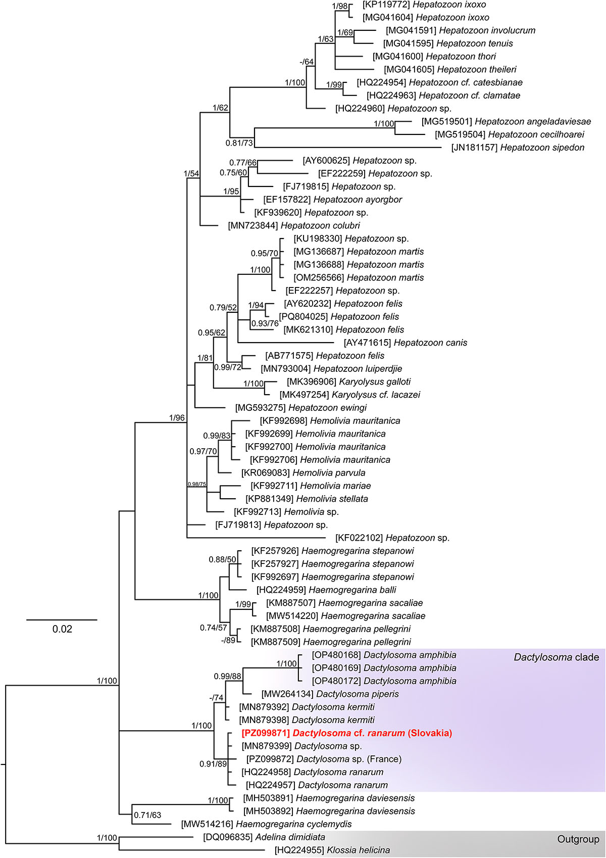 Figure 7 Refer to the following caption and surrounding text.