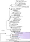 Thumbnail: Figure 7 Refer to the following caption and surrounding text.