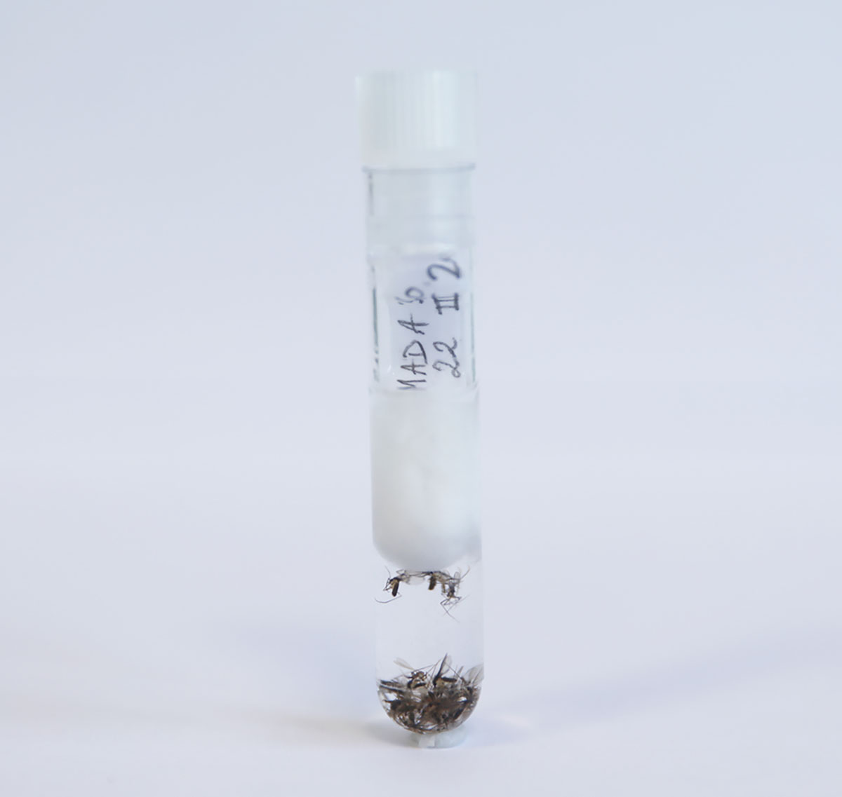 Figure 1 Refer to the following caption and surrounding text.