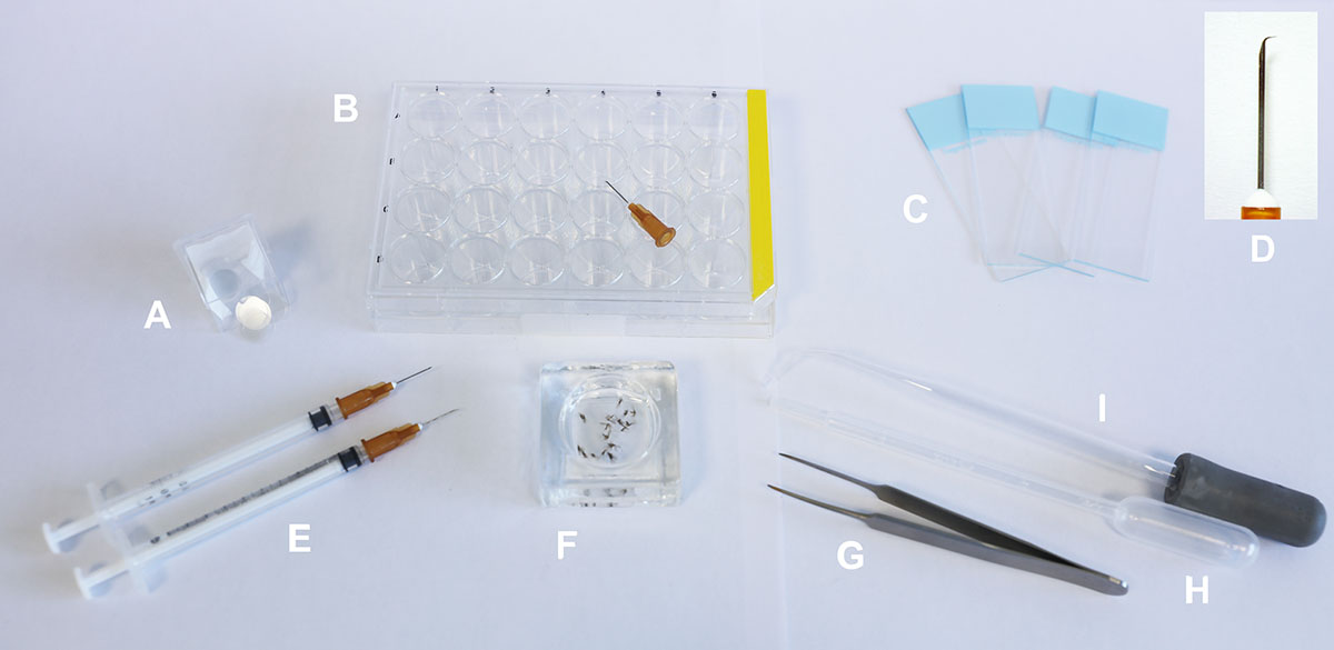 Figure 2 Refer to the following caption and surrounding text.