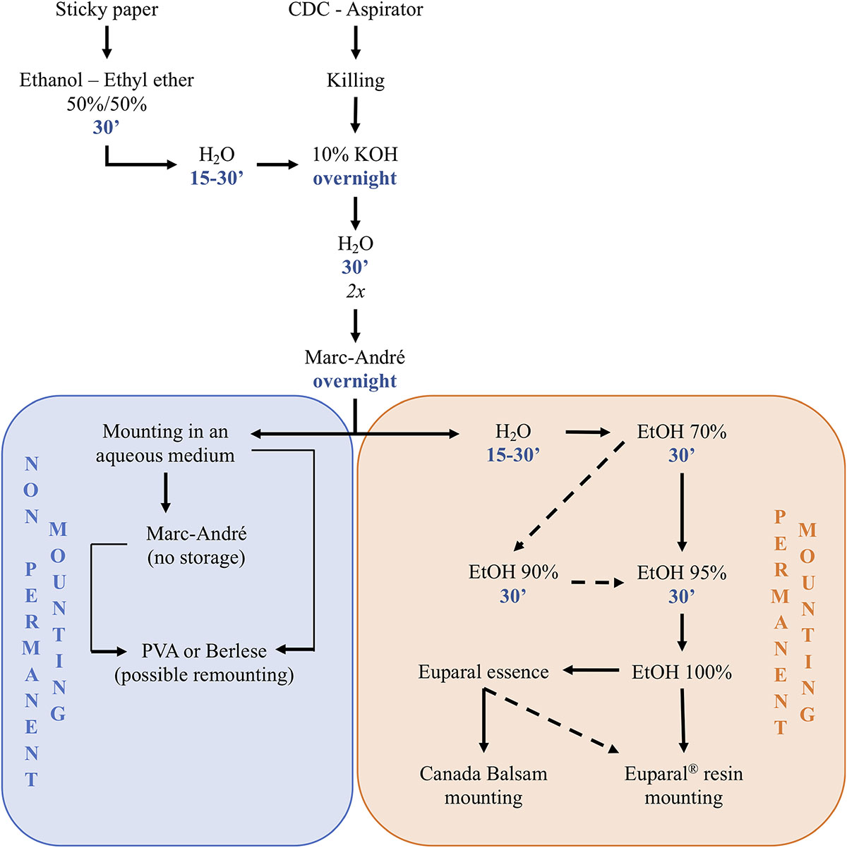 Figure 7 Refer to the following caption and surrounding text.