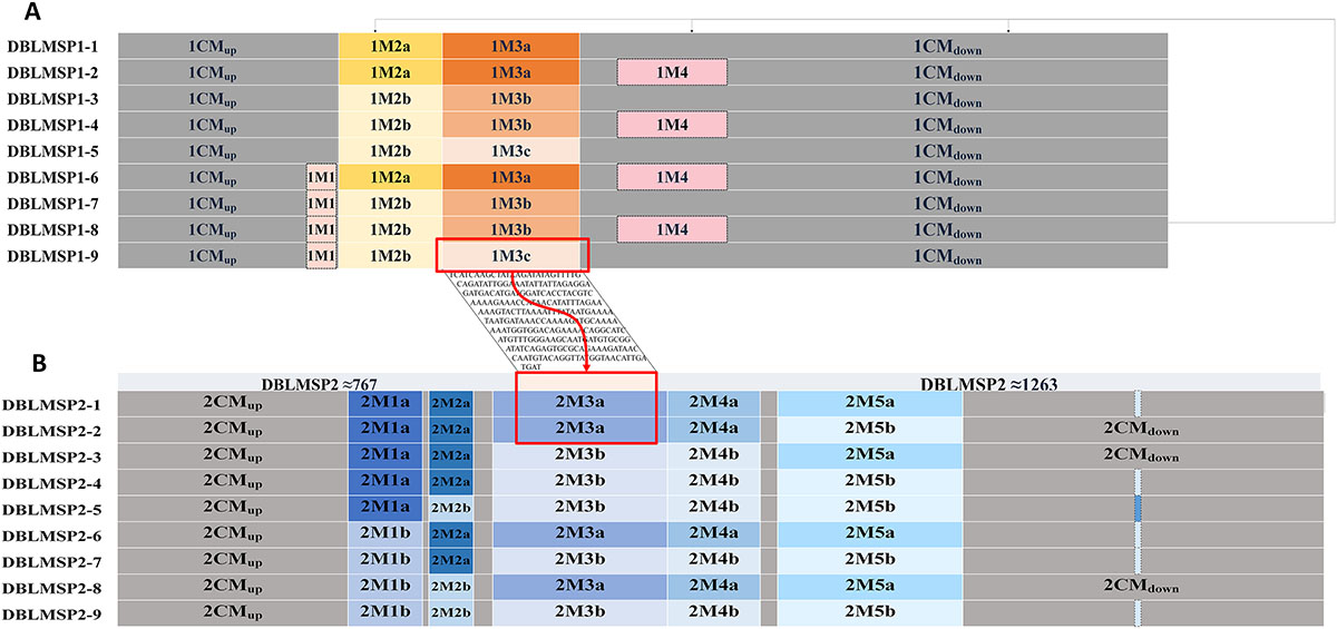 Figure 2 Refer to the following caption and surrounding text.