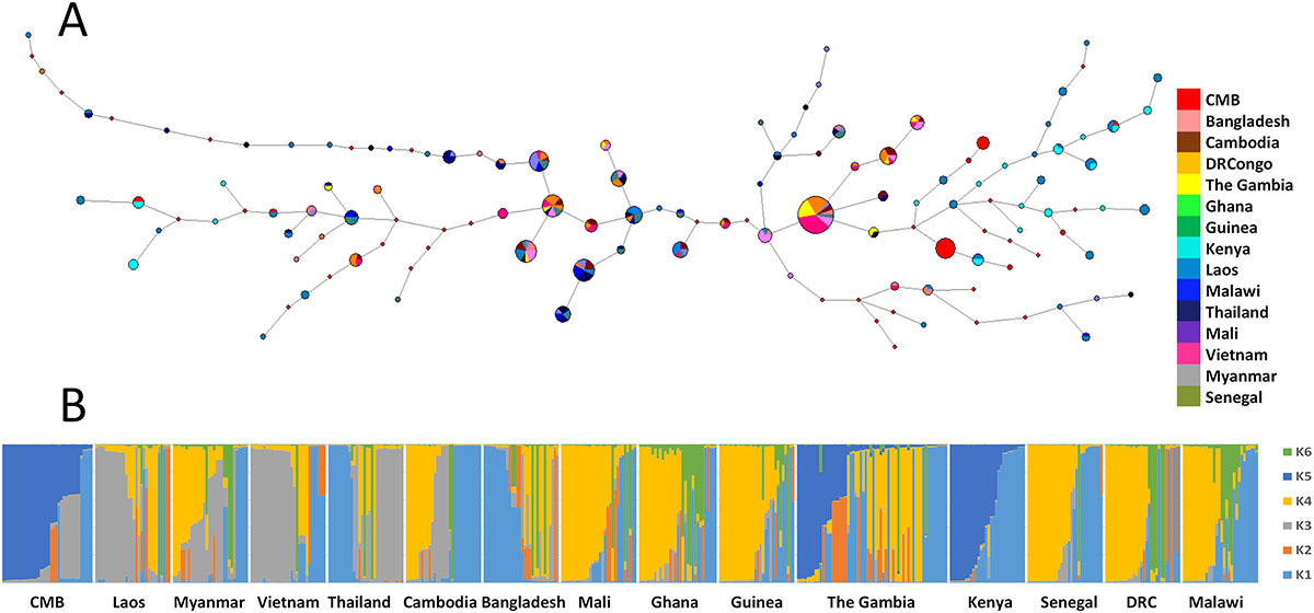 Figure 4 Refer to the following caption and surrounding text.