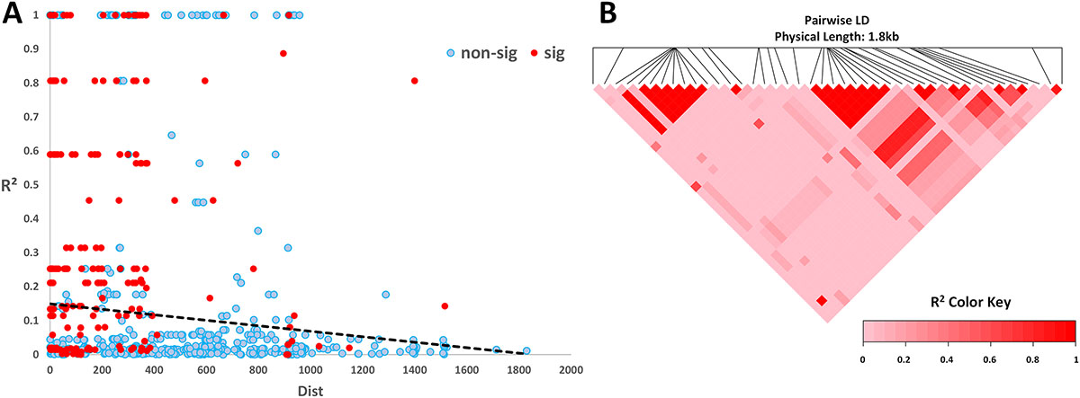 Figure 5 Refer to the following caption and surrounding text.