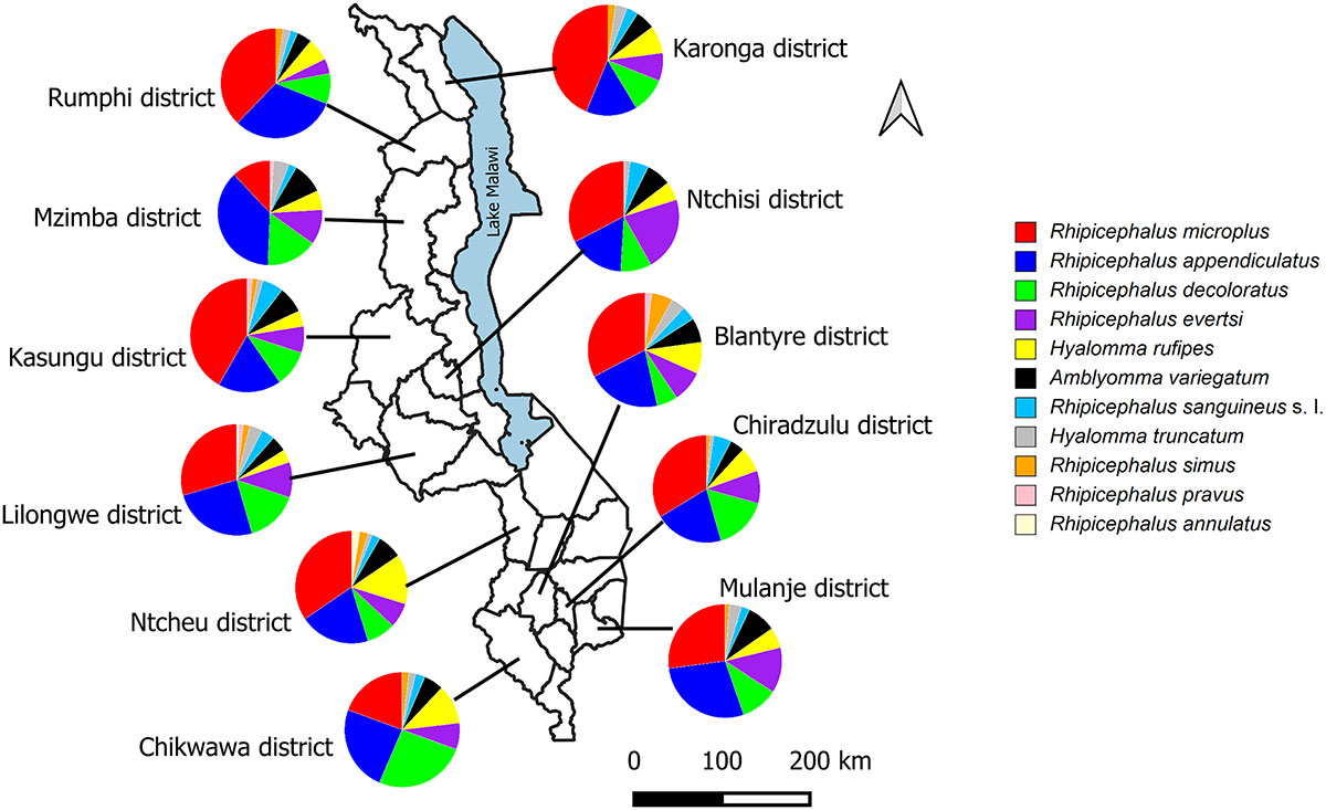 Figure 1 Refer to the following caption and surrounding text.