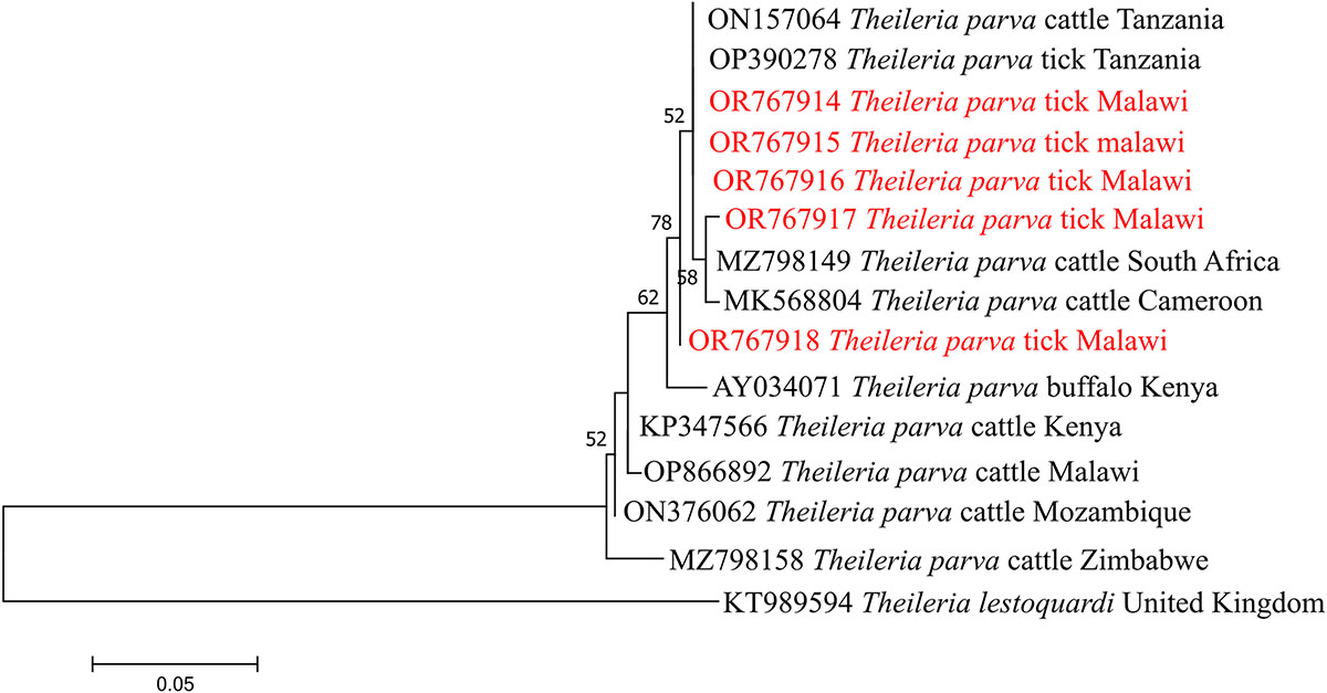 Figure 2 Refer to the following caption and surrounding text.