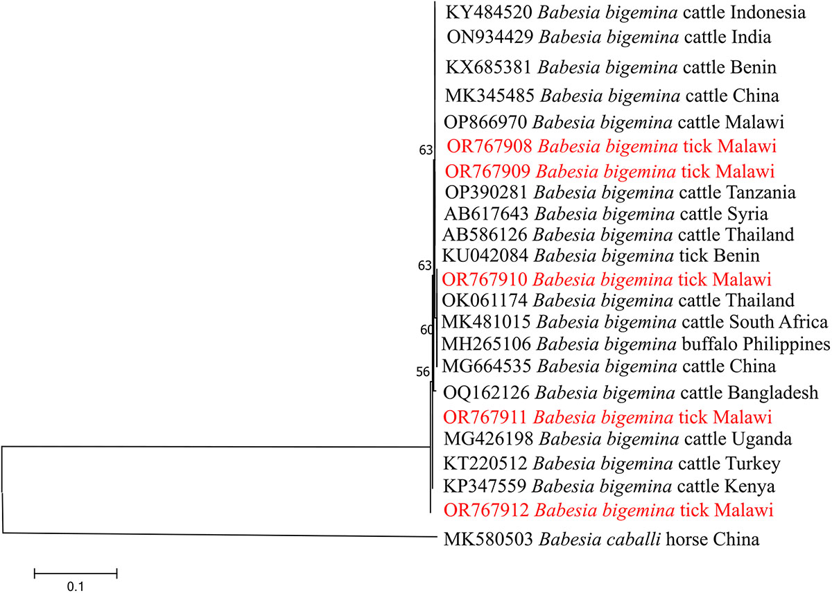 Figure 3 Refer to the following caption and surrounding text.