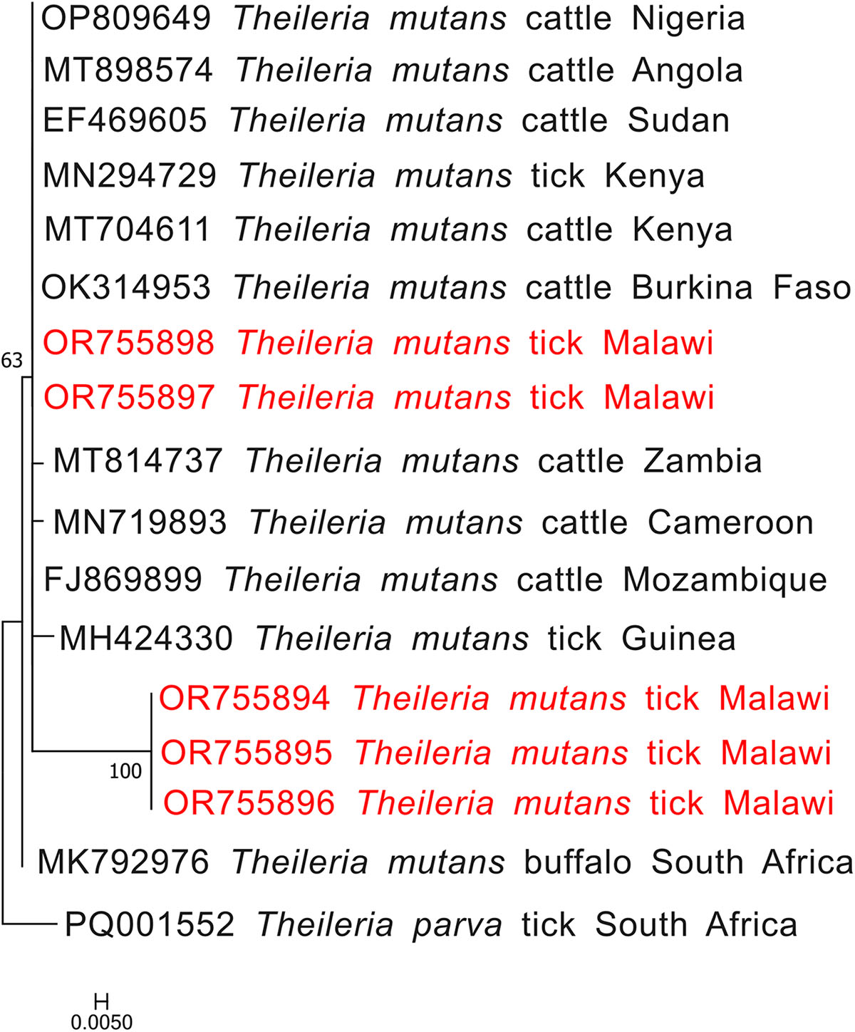 Figure 4 Refer to the following caption and surrounding text.