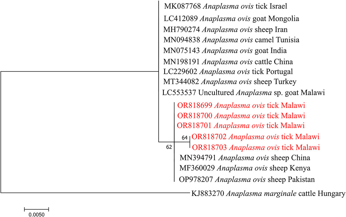 Figure 5 Refer to the following caption and surrounding text.