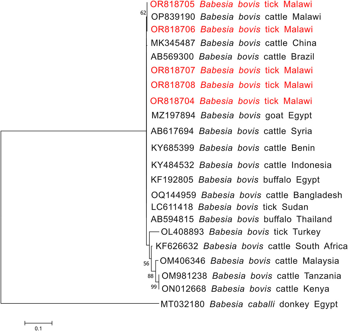 Figure 6 Refer to the following caption and surrounding text.