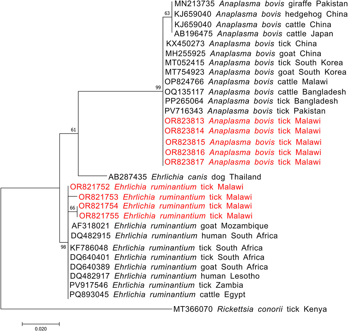 Figure 7 Refer to the following caption and surrounding text.
